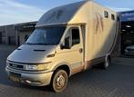Iveco Daily 50C13 375 Paardenwagen (bj 2000), Euro 2, 3010 kg, 125 pk, Gebruikt
