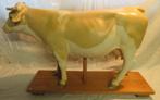 anatomisch model koe uitschuifbaar met ingewanden 21, Antiek en Kunst, Curiosa en Brocante, Ophalen