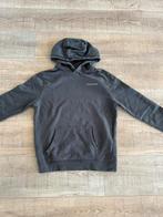 Lyle&scot trui, Ophalen of Verzenden, Zo goed als nieuw