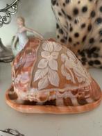 Antieke gegraveerde cameo schelp, Ophalen of Verzenden
