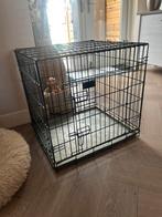 Benche, Dieren en Toebehoren, Ophalen, Gebruikt