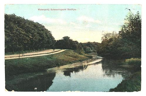 901312	Den Haag	Scheveningse Boschjes	1924	Postzegel afgewee, Verzamelen, Ansichtkaarten | Nederland, Gelopen, Zuid-Holland, 1920 tot 1940