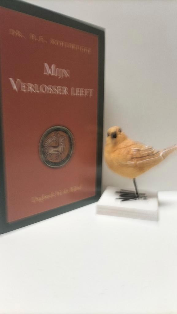 Kohlbrugge, Dr. H.F.; Mijn Verlosser leeft, Boeken, Godsdienst en Theologie, Gelezen, Christendom | Protestants, Ophalen of Verzenden