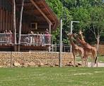 € 5 euro korting pp Zoo Planckendael (max. 4 personen), Drie personen of meer, Kortingskaart