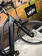 Van Dijck Kalii Grijs 61cm 2022, 59 cm of meer, Nieuw, Overige merken
