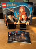 Harry Potter Lego 76393 Harry Potter & Hermoine Granger, Ophalen of Verzenden, Zo goed als nieuw, Complete set, Lego