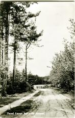 TEXEL SET1 Partij van 10 oude kaarten, Ophalen of Verzenden, 1940 tot 1960, Waddeneilanden