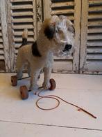 Super leuke oud hondje te koop, Ophalen of Verzenden