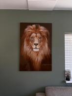 Glazen Schilderij Leeuw - 120x80cm, Ophalen, Zo goed als nieuw, Schilderij, 75 tot 100 cm