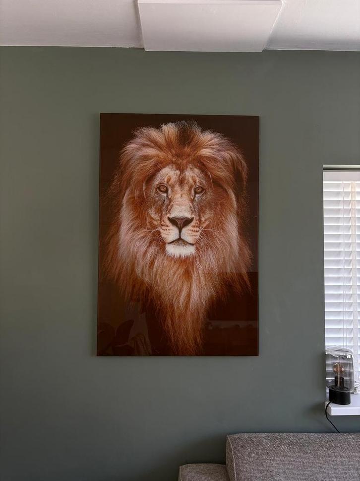 Glazen Schilderij Leeuw - 120x80cm, Huis en Inrichting, Woonaccessoires | Schilderijen, Tekeningen en Foto's, Zo goed als nieuw