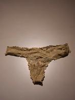 Victoria's Secret PINK Groene String - Maat M, Victoria's Secret PINK, Verzenden, Groen, String