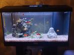 Juwel aquarium met vissen en toebehoren, Dieren en Toebehoren, Vissen | Aquaria en Toebehoren, Ophalen, Zo goed als nieuw, Gevuld zoetwateraquarium