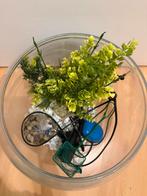 Aquaria rond, Dieren en Toebehoren, Ophalen, Zo goed als nieuw, Leeg aquarium