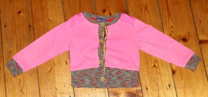 apart Kidz Art vestje maat 68, Kinderen en Baby's, Babykleding | Maat 68, Zo goed als nieuw, Meisje, Truitje of Vestje, Ophalen of Verzenden