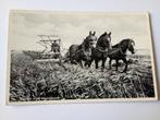 Wieringermeer Boerenleven, Verzamelen, Ansichtkaarten | Nederland, Ophalen of Verzenden, 1920 tot 1940, Ongelopen, Noord-Holland