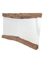 boomstam spiegel, Huis en Inrichting, Woonaccessoires | Spiegels, Nieuw, 125 cm of meer, Ophalen of Verzenden, Minder dan 100 cm
