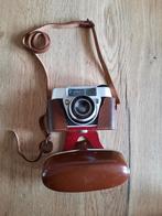 Grote collectie oude camera's, Audio, Tv en Foto, Fotocamera's Analoog, Gebruikt, Ophalen