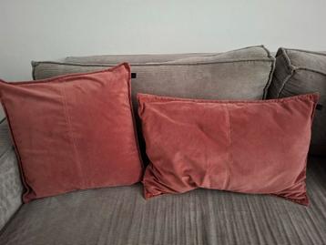 Velvet Kussens - Set van 2 beschikbaar voor biedingen