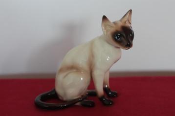 Siamese kat. Beeld van Shafford Japan. Seal Point Siamees beschikbaar voor biedingen