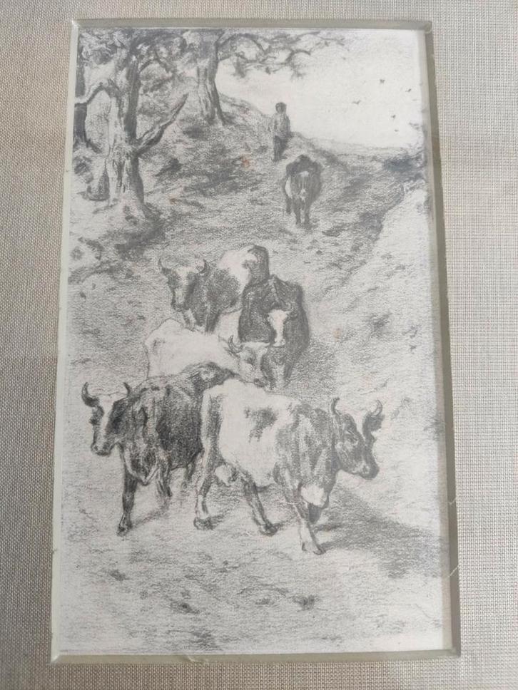Potlood tekening koeien in landschap, Antiek en Kunst, Kunst | Tekeningen en Foto's, Ophalen of Verzenden