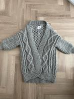 Dik vest I love Mr. Mittens, Kleding | Dames, Truien en Vesten, Gedragen, Grijs, Ophalen of Verzenden