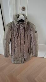 Gaastra winterjas maat S, Kleding | Dames, Jassen | Winter, Ophalen of Verzenden, Zo goed als nieuw, Maat 38/40 (M), Groen