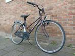 Racer Batavus Beagle  3 versnellingen, AXA slot, verlichting, Minder dan 10 versnellingen, 26 inch, Staal, Batavus
