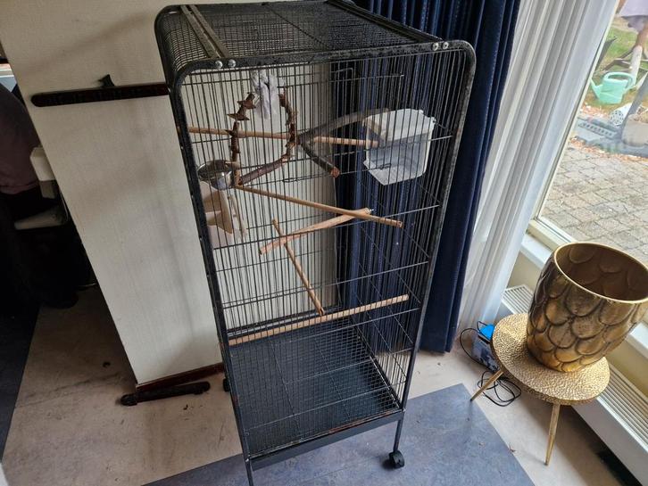 Grote vogelkooi / parkietenkooi, Dieren en Toebehoren, Vogels | Hokken en Kooien, Gebruikt, Vogelkooi, Metaal, Ophalen