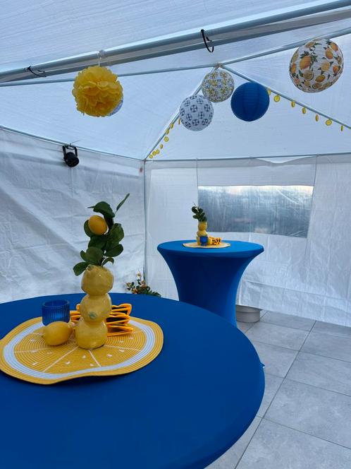 Amalfi/Citroen Thema Feestversiering als nieuw, Huis en Inrichting, Woonaccessoires | Overige, Zo goed als nieuw, Ophalen of Verzenden