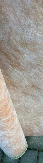 Waterdichte Kim Membraan doek voor oa Badkamer/Natte ruimtes, Minder dan 4 cm, Overige materialen, Muurisolatie, Nieuw