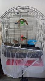 3 x vogel kooi Grasparkieten en amazo pagaai, Dieren en Toebehoren, Vogels | Hokken en Kooien, Ophalen, Zo goed als nieuw, Metaal