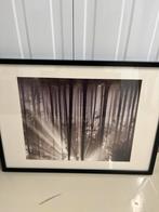Boslandschap Foto met Lijst, Ophalen of Verzenden, Zo goed als nieuw, Foto of Poster, 50 tot 75 cm