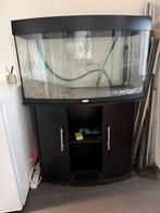 Schildpadden aquarium met toebehoren, Ophalen, Gebruikt, Leeg aquarium