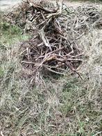 Haardhout stookhout Sint Maartenshout, 6 m³ of meer, Ophalen, Takken
