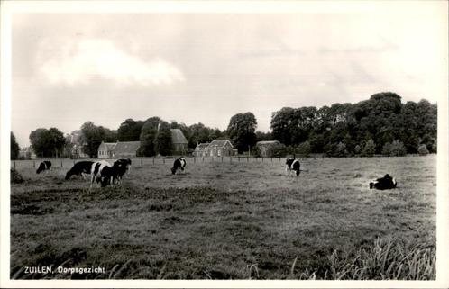 Zuilen Dorpsgezicht met koeien, Verzamelen, Ansichtkaarten | Nederland, Ongelopen, Utrecht, 1940 tot 1960, Verzenden