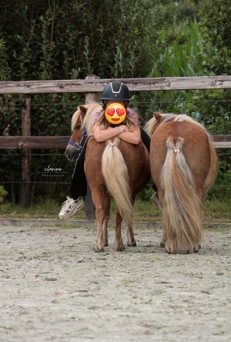 Wij zoeken een plekje, Dieren en Toebehoren, Stalling en Weidegang