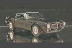 Pontiac Firebird Transam 1972 - Welly 1:24, Ophalen of Verzenden, Nieuw, Auto, Welly