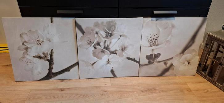 3-Luik Canvas Schilderij, Huis en Inrichting, Woonaccessoires | Schilderijen, Tekeningen en Foto's, Zo goed als nieuw, Schilderij