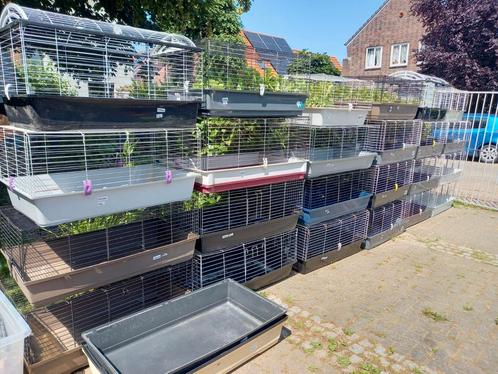 Veel kooien - lage prijzen, Dieren en Toebehoren, Knaagdieren en Konijnen | Hokken en Kooien, Zo goed als nieuw, Kooi, Minder dan 60 cm
