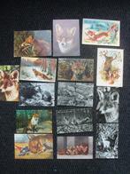 Ansichtkaarten Vos Vossen, Ophalen of Verzenden, Gelopen, Vogel