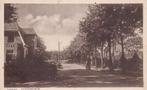 Ansichtkaart Doetinchem Loolaan, Ophalen of Verzenden, Voor 1920, Ongelopen, Gelderland