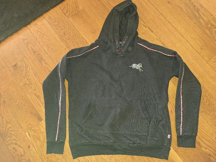 Trui / hoodie maat 158/164, Kinderen en Baby's, Kinderkleding | Maat 158, Gebruikt, Meisje, Trui of Vest, Ophalen of Verzenden