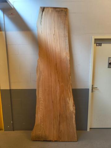 Unieke lokale boomstam-tafelblad van een beuk uit Wassenaar beschikbaar voor biedingen
