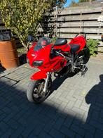 Suzuki sv650 a2, Particulier