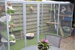 Kattenren gegalvaniseerd B=120 x D=180 x H= 180 cm, Ophalen of Verzenden