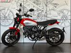 Ducati SCRAMBLER ICON (bj 2024), Bedrijf, Meer dan 35 kW, Toermotor
