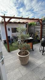 Pergola inlclusief plaatsen, Tuin en Terras, Overkappingen, Ophalen, Nieuw, Veranda
