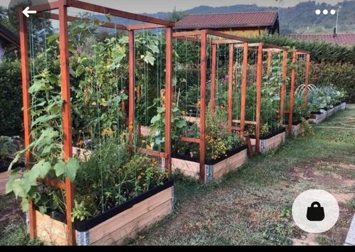 Moestuin bakken, palletranden., Tuin en Terras, Bloembakken en Plantenbakken, Nieuw, Hout, Minder dan 30 cm, 100 cm of meer, Ophalen