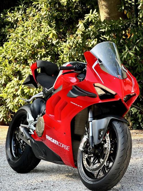 DUCATI PANIGALE V4 (R style), Motoren, Motoren | Ducati, Particulier, Super Sport, meer dan 35 kW, 4 cilinders, Ophalen