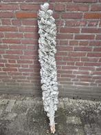 couronne decoratieve stam groot  cacho de coco, Ophalen of Verzenden, 'T Olde Gre-j, Info@toldegrej.nl, Endepoelstraat 20f Didam